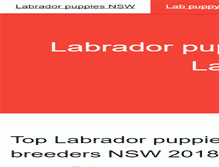 Tablet Screenshot of labradorpuppiesforsalebyregisteredlabradorbreeders.com